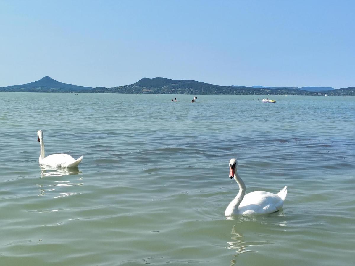 Exclusive Beachfront Villa Fonyód Εξωτερικό φωτογραφία